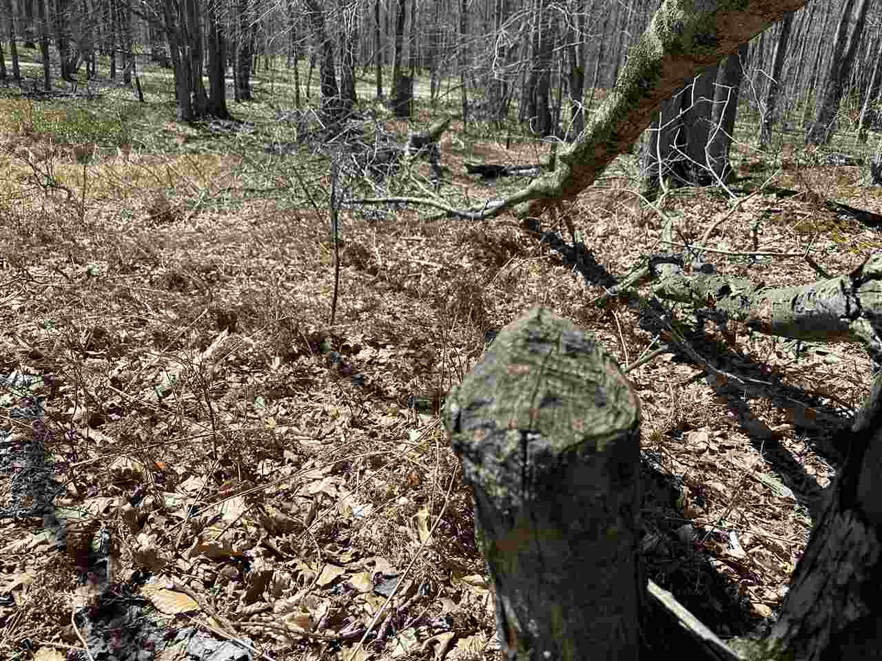 Tbd West Side Drive Beaver Island MI 49782