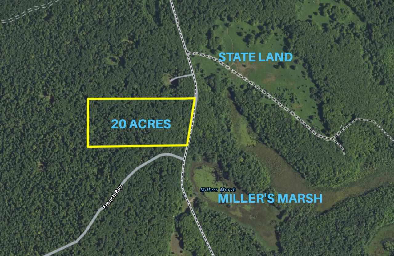 Tbd West Side Drive Beaver Island MI 49782