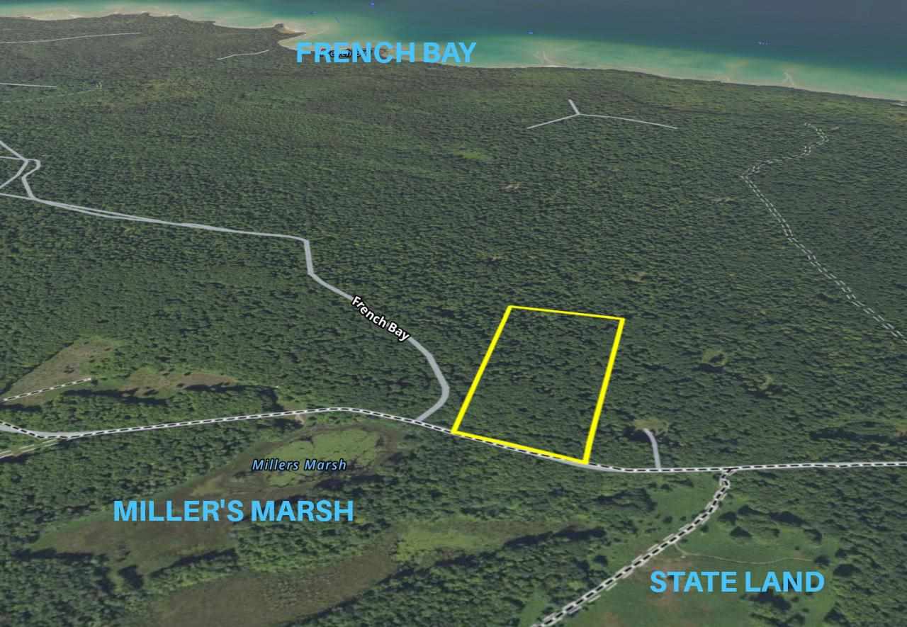 Tbd West Side Drive Beaver Island MI 49782