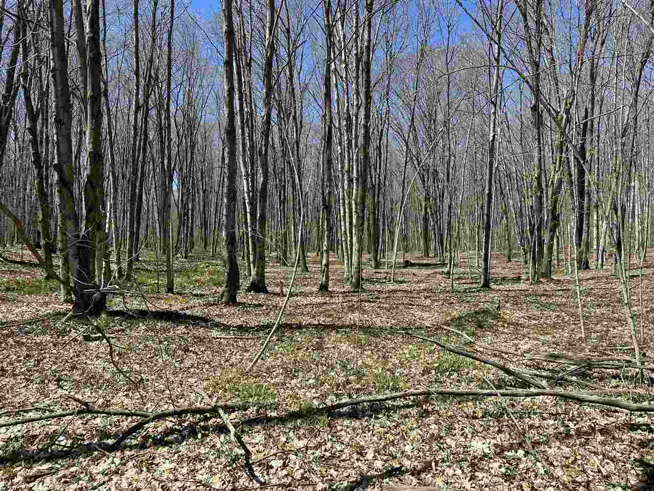 Tbd West Side Drive Beaver Island MI 49782