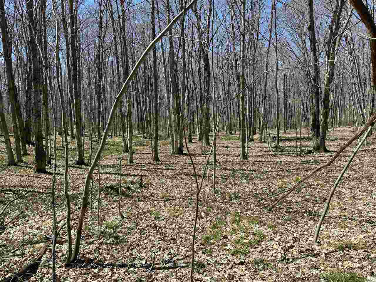 Tbd West Side Drive Beaver Island MI 49782