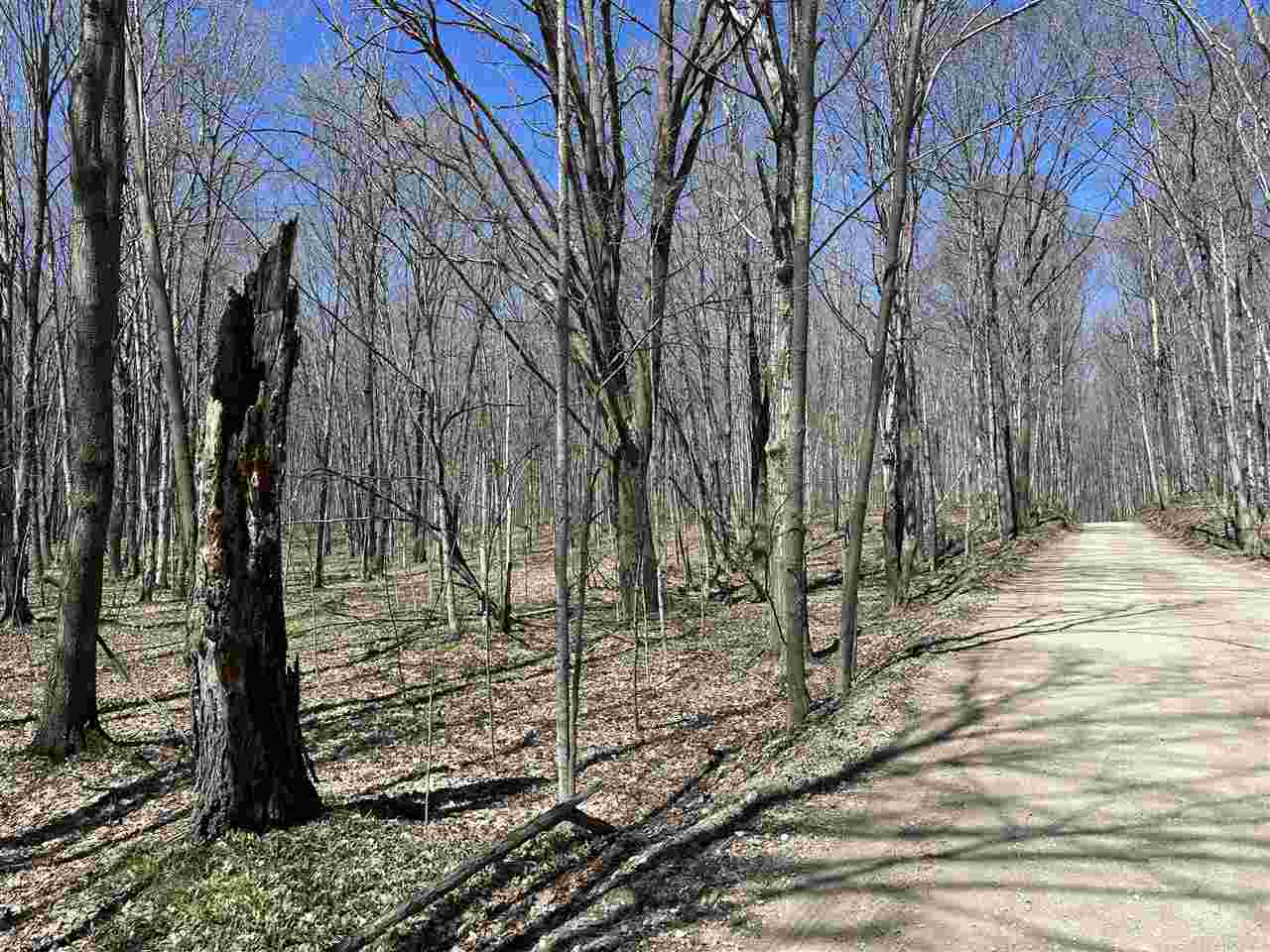 Tbd West Side Drive Beaver Island MI 49782