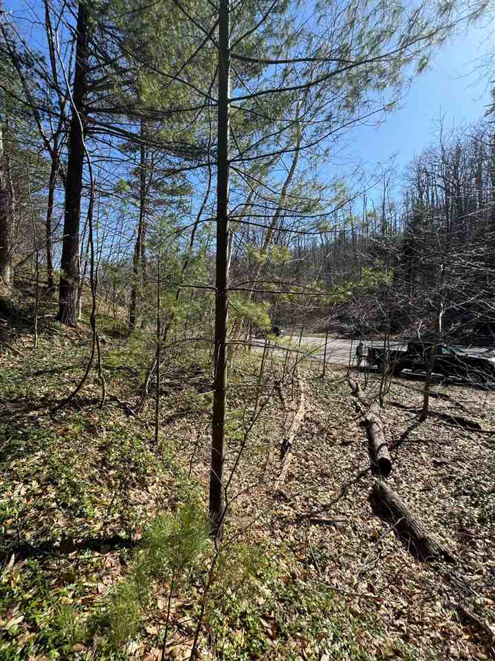 Tbd Us 131 Boyne Falls MI 47913