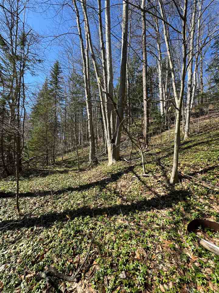 Tbd Us 131 Boyne Falls MI 47913