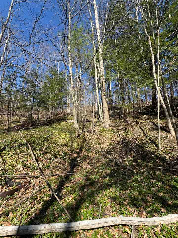 Tbd Us 131 Boyne Falls MI 47913