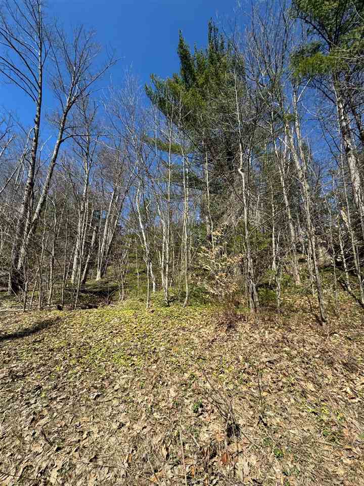 Tbd Us 131 Boyne Falls MI 47913