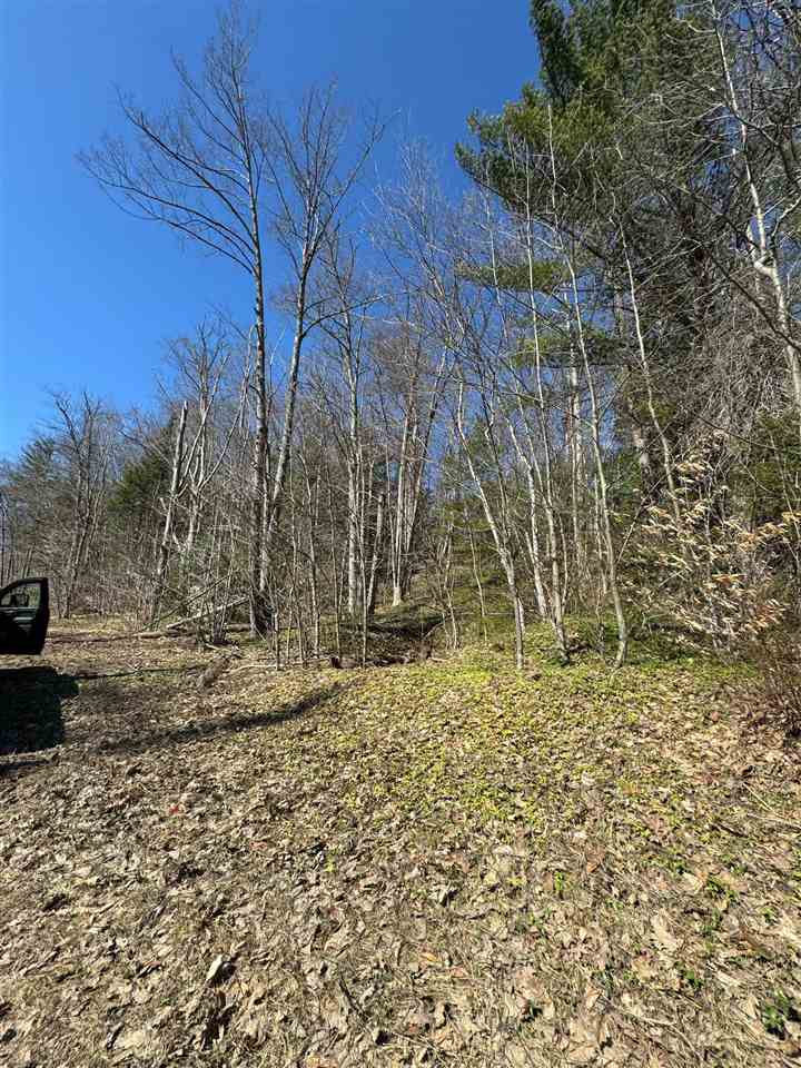 Tbd Us 131 Boyne Falls MI 47913