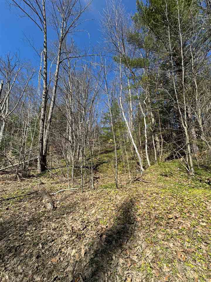 Tbd Us 131 Boyne Falls MI 47913