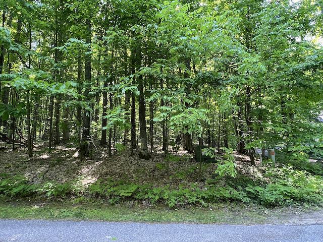 Lot 6 Willow Bend Bellaire MI 49615