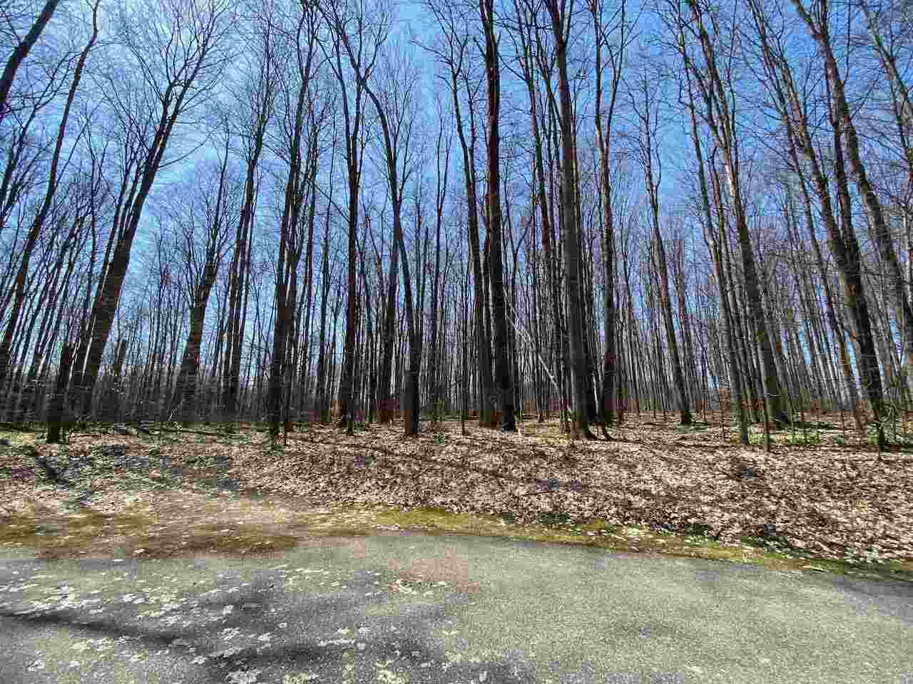 Lot 6 Willow Bend Bellaire MI 49615