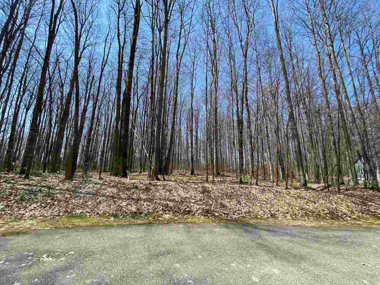 Lot 6 Willow Bend Bellaire MI 49615