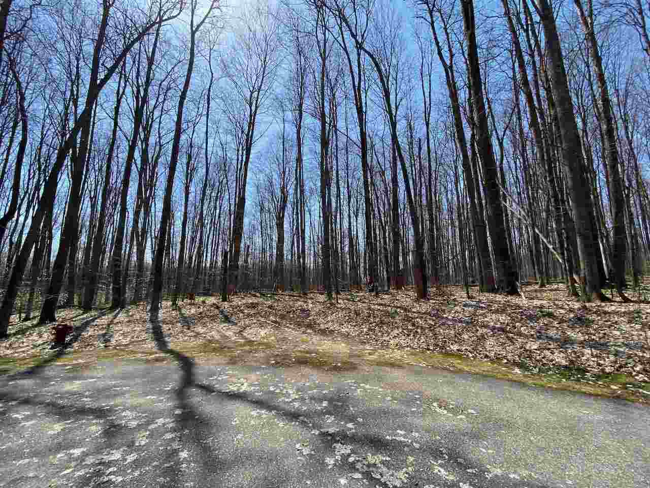 Lot 6 Willow Bend Bellaire MI 49615