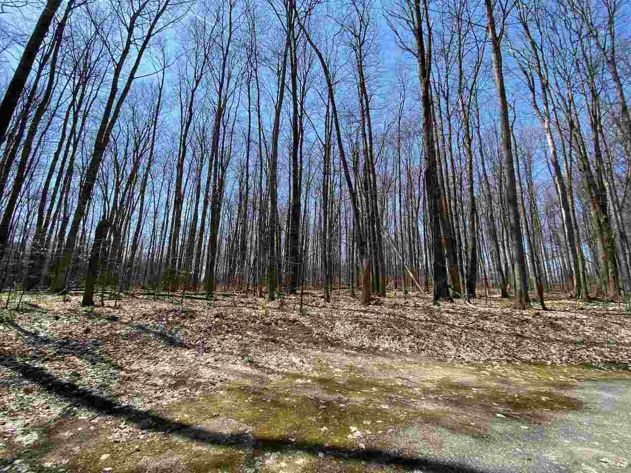 Lot 6 Willow Bend Bellaire MI 49615