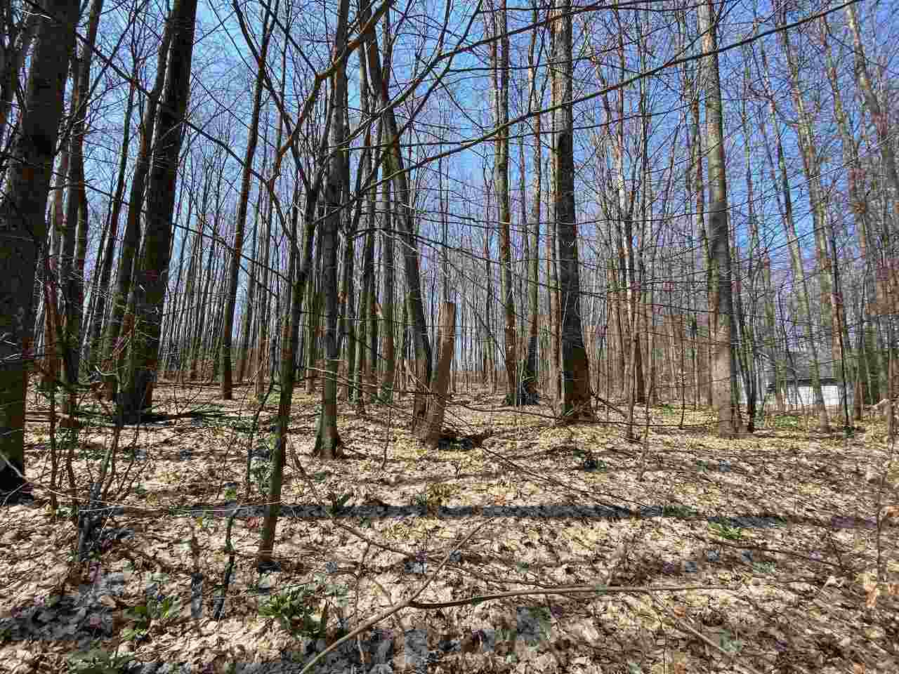 Lot 6 Willow Bend Bellaire MI 49615