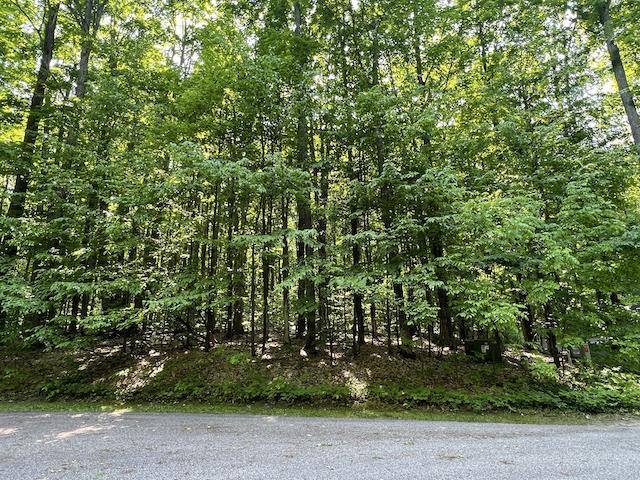 Lot 6 Willow Bend Bellaire MI 49615