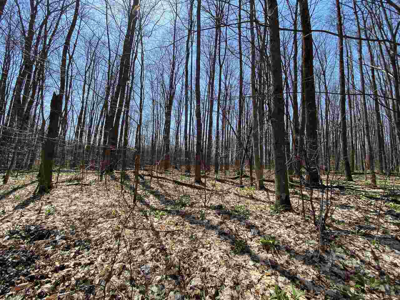 Lot 6 Willow Bend Bellaire MI 49615