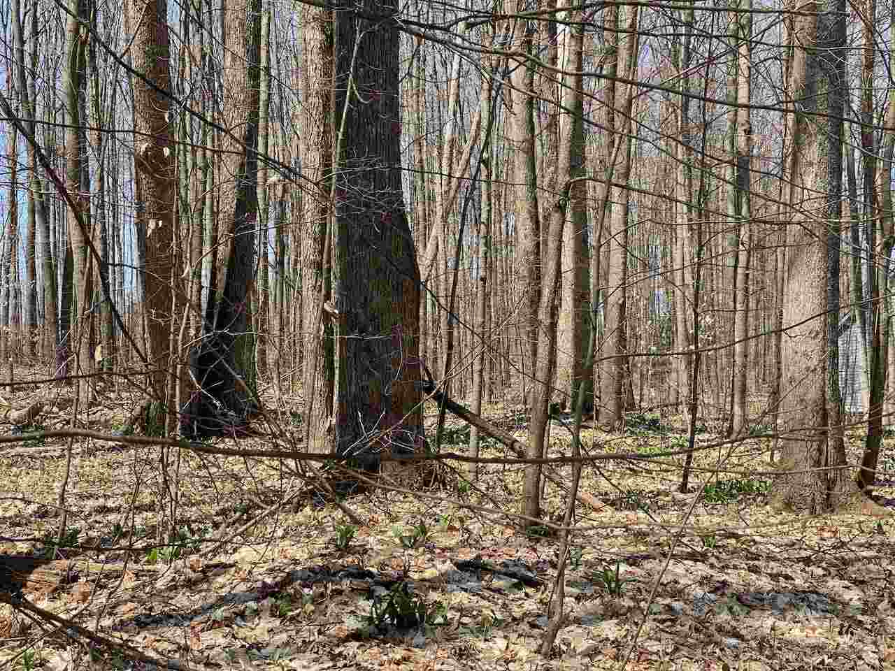 Lot 6 Willow Bend Bellaire MI 49615