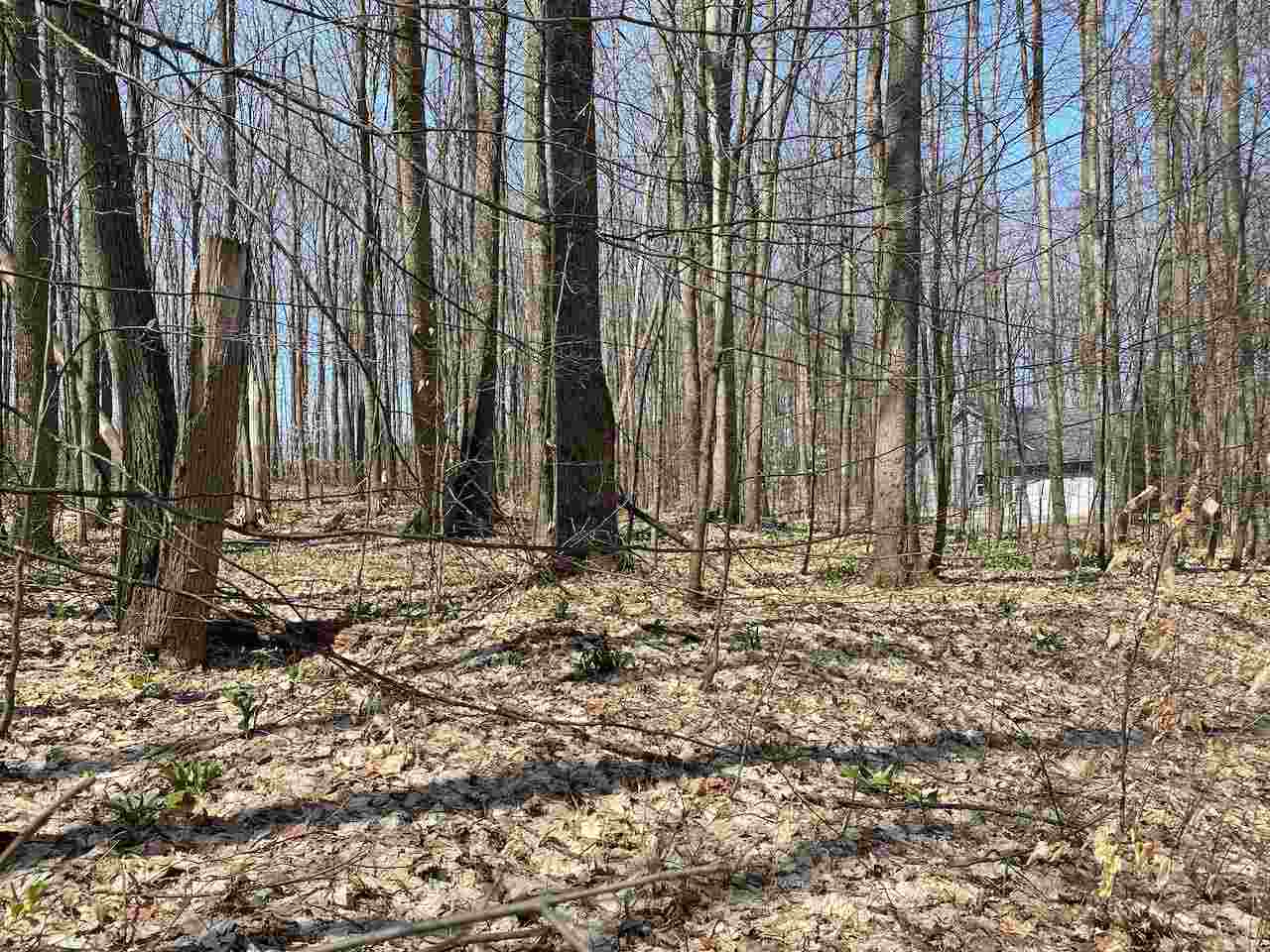 Lot 6 Willow Bend Bellaire MI 49615