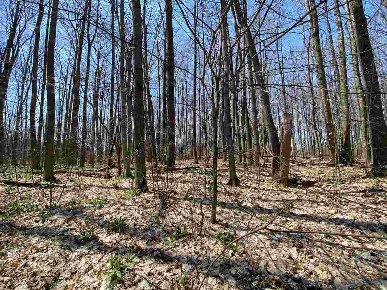 Lot 6 Willow Bend Bellaire MI 49615