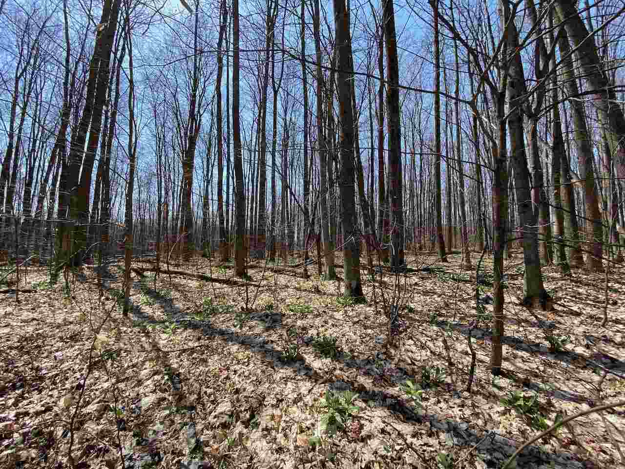 Lot 6 Willow Bend Bellaire MI 49615