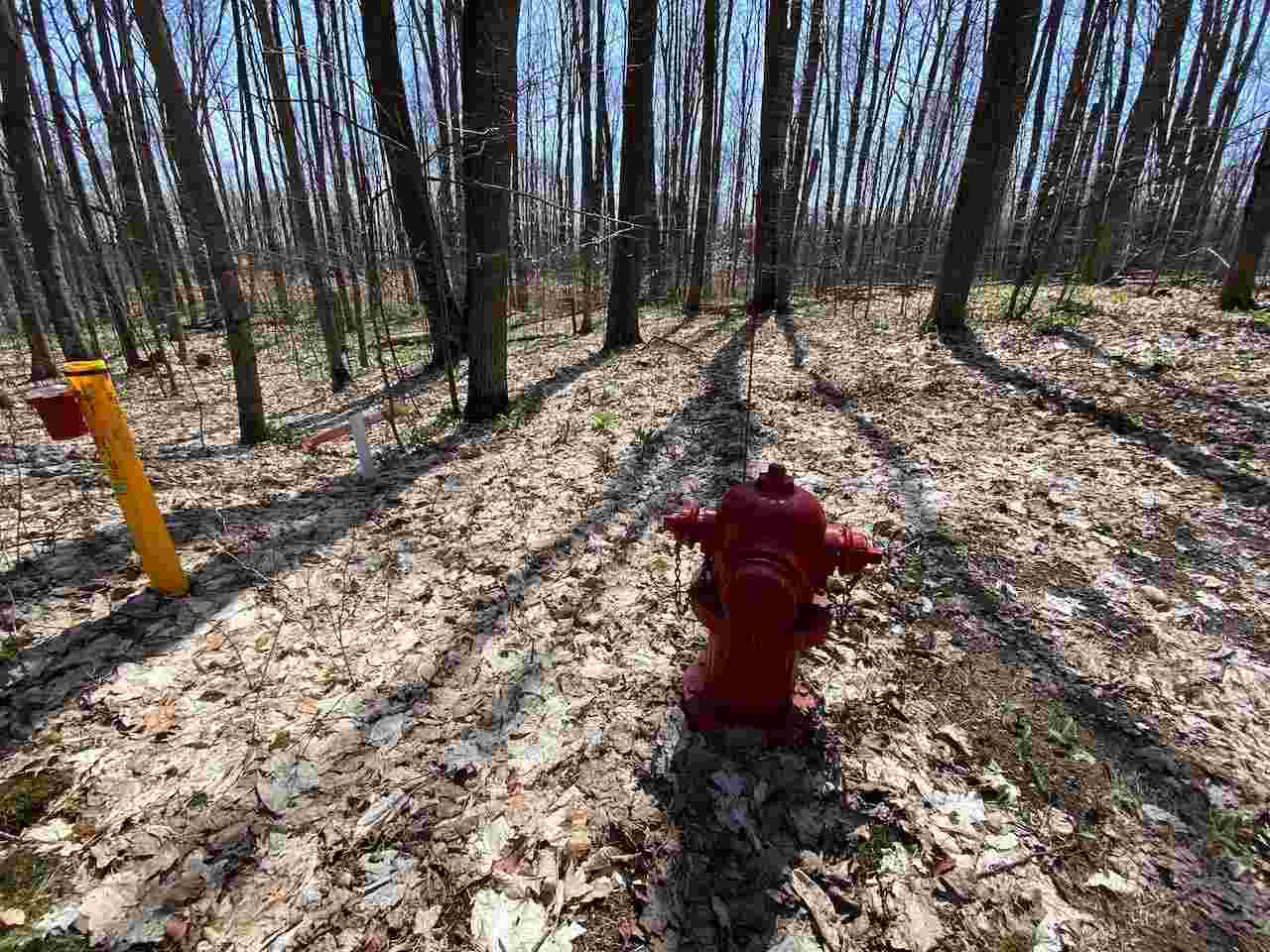 Lot 6 Willow Bend Bellaire MI 49615