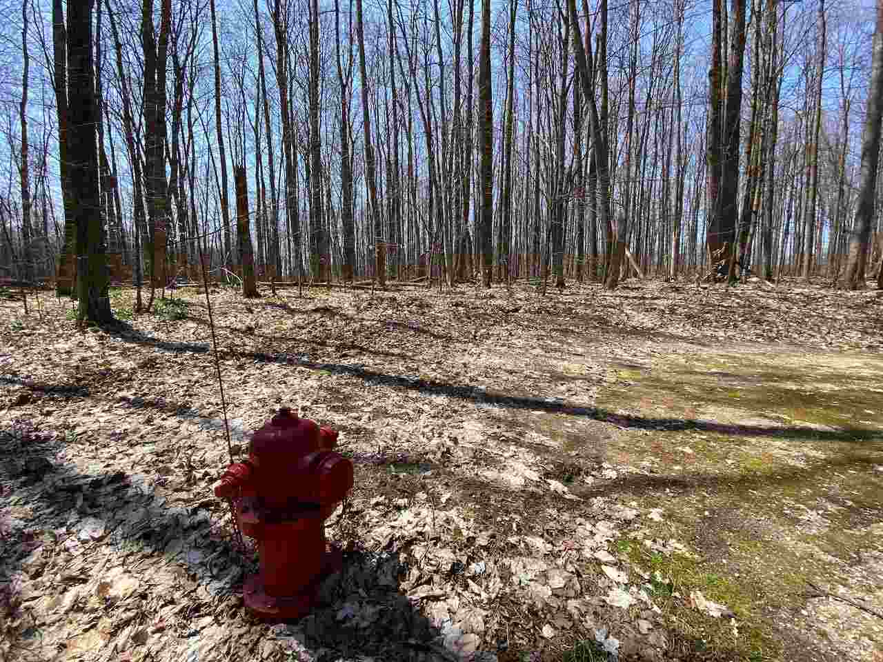 Lot 6 Willow Bend Bellaire MI 49615