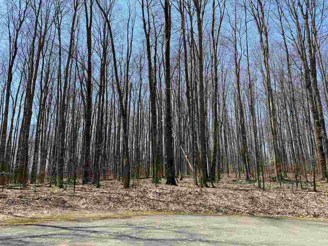 Lot 6 Willow Bend Bellaire MI 49615