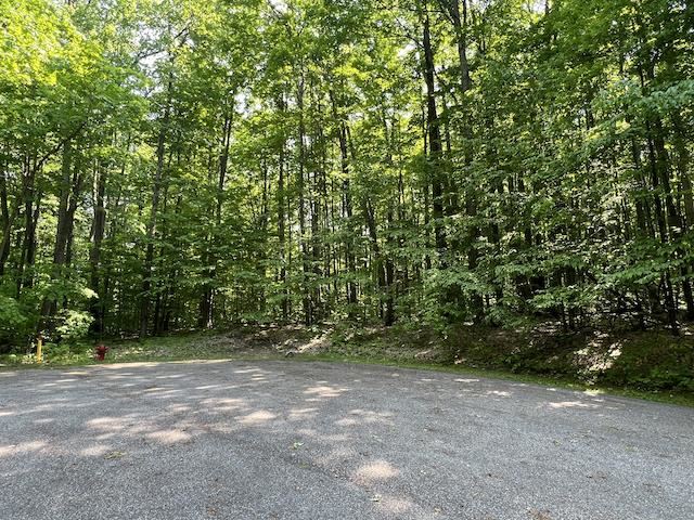 Lot 6 Willow Bend Bellaire MI 49615