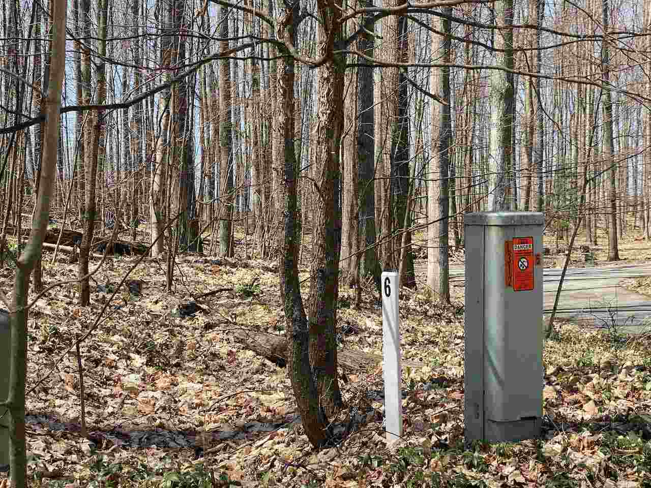 Lot 6 Willow Bend Bellaire MI 49615