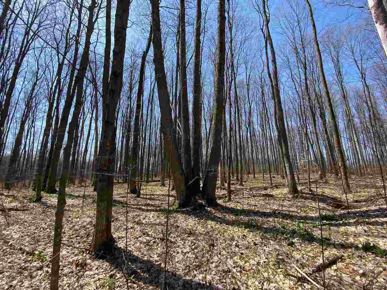 Lot 6 Willow Bend Bellaire MI 49615