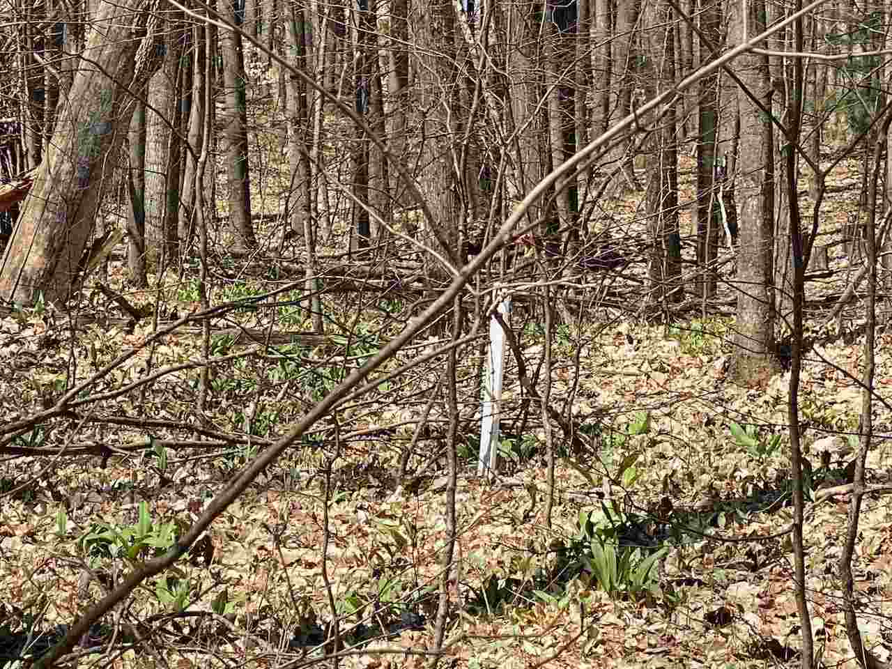 Lot 6 Willow Bend Bellaire MI 49615