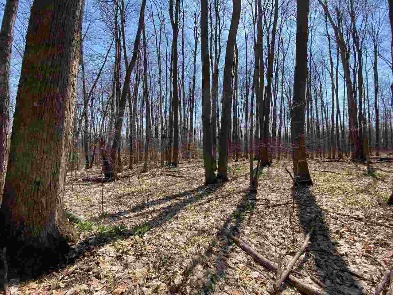 Lot 6 Willow Bend Bellaire MI 49615