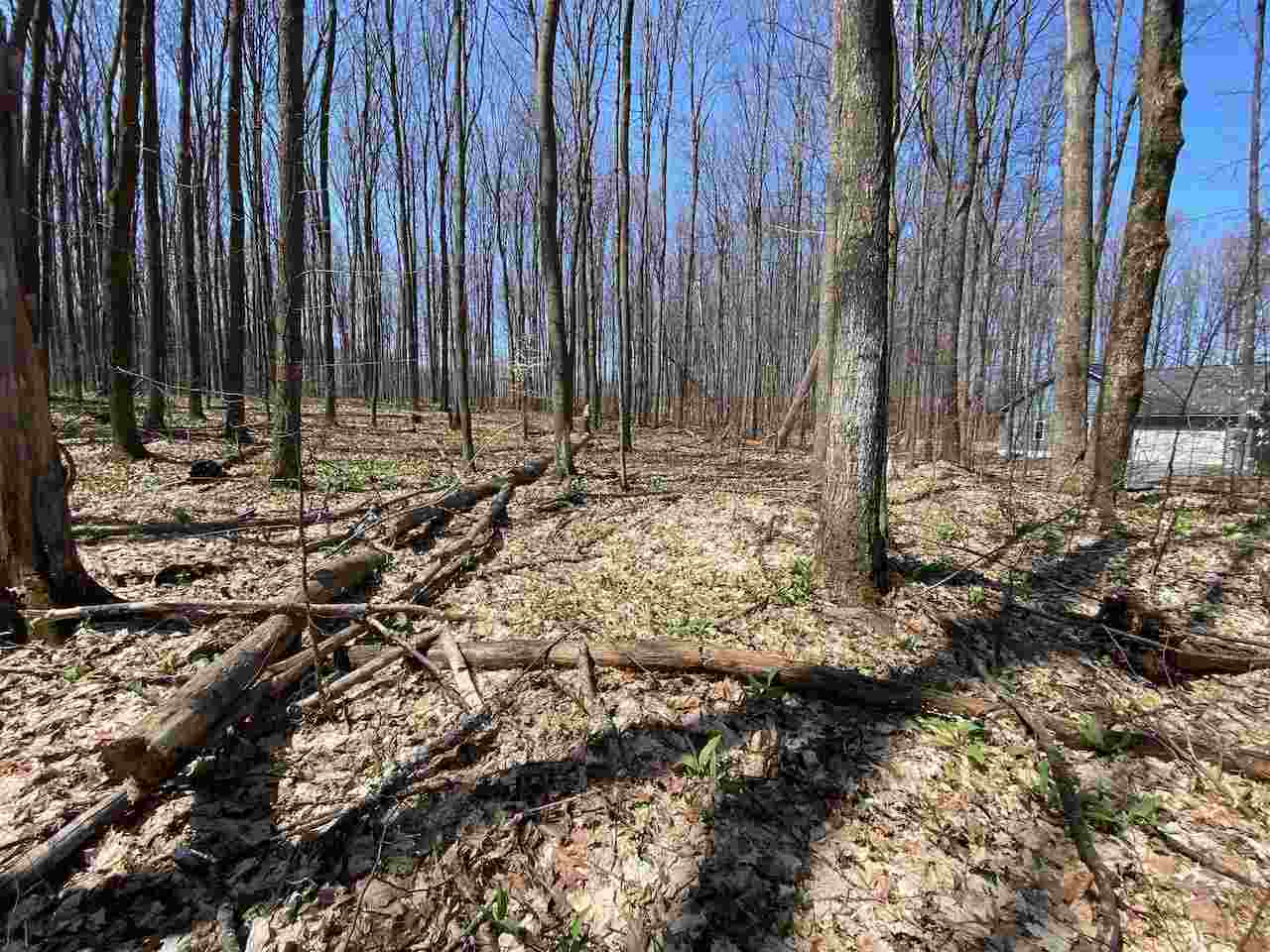 Lot 6 Willow Bend Bellaire MI 49615