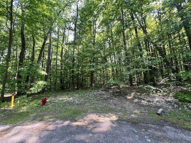 Lot 6 Willow Bend Bellaire MI 49615