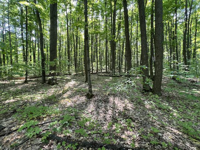 Lot 6 Willow Bend Bellaire MI 49615
