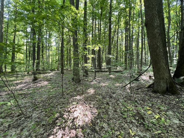 Lot 6 Willow Bend Bellaire MI 49615