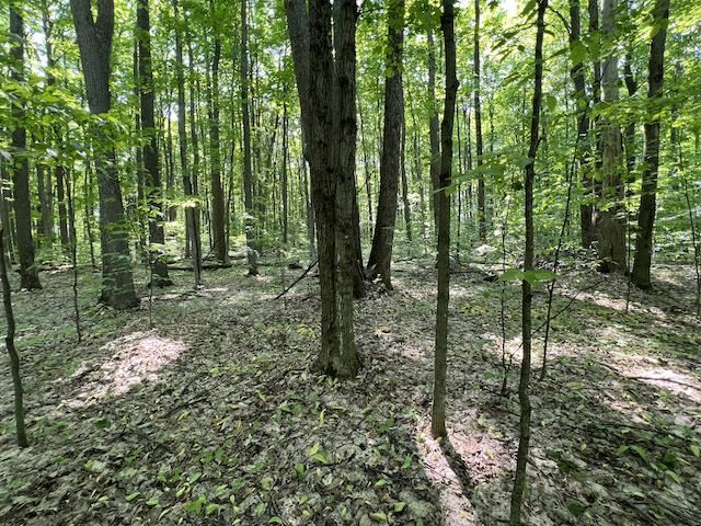 Lot 6 Willow Bend Bellaire MI 49615