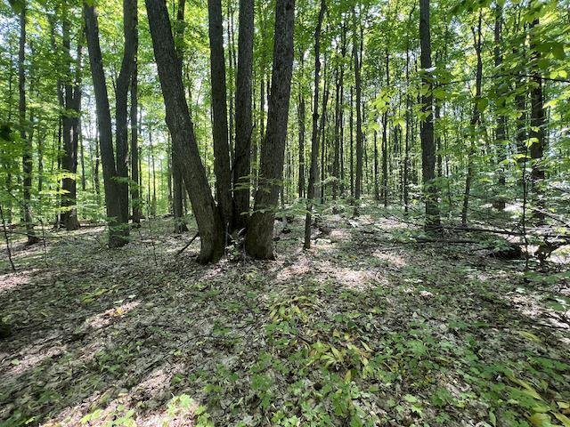 Lot 6 Willow Bend Bellaire MI 49615
