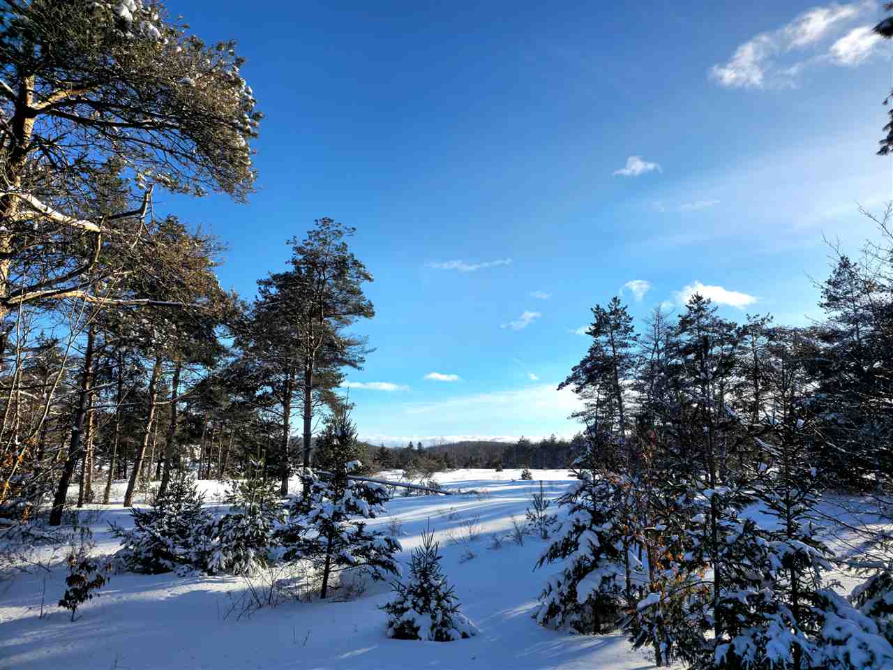 3129 Needles Drive Harbor Springs MI 49740