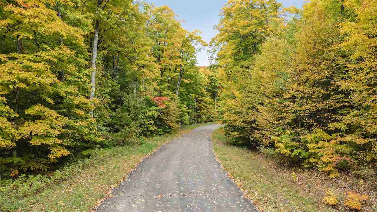 3129 Needles Drive Harbor Springs MI 49740