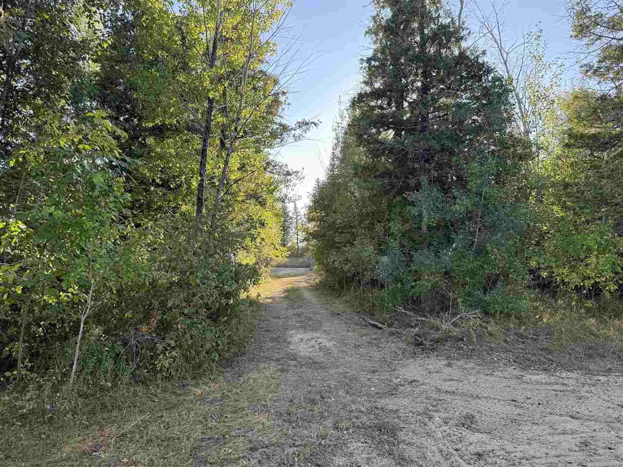 4735 + 4745 Straits View Drive Carp Lake MI 49718