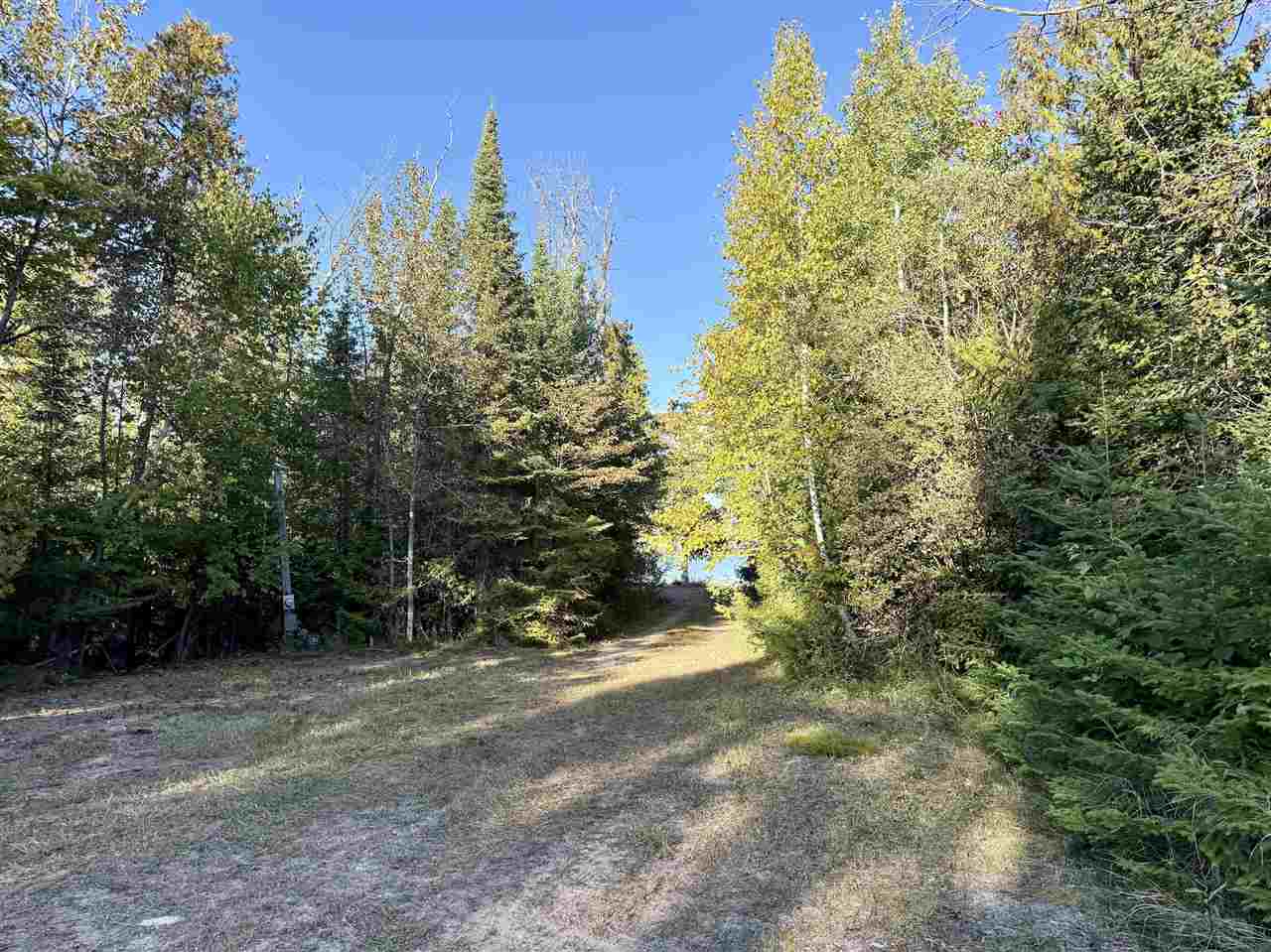 4735 + 4745 Straits View Drive Carp Lake MI 49718