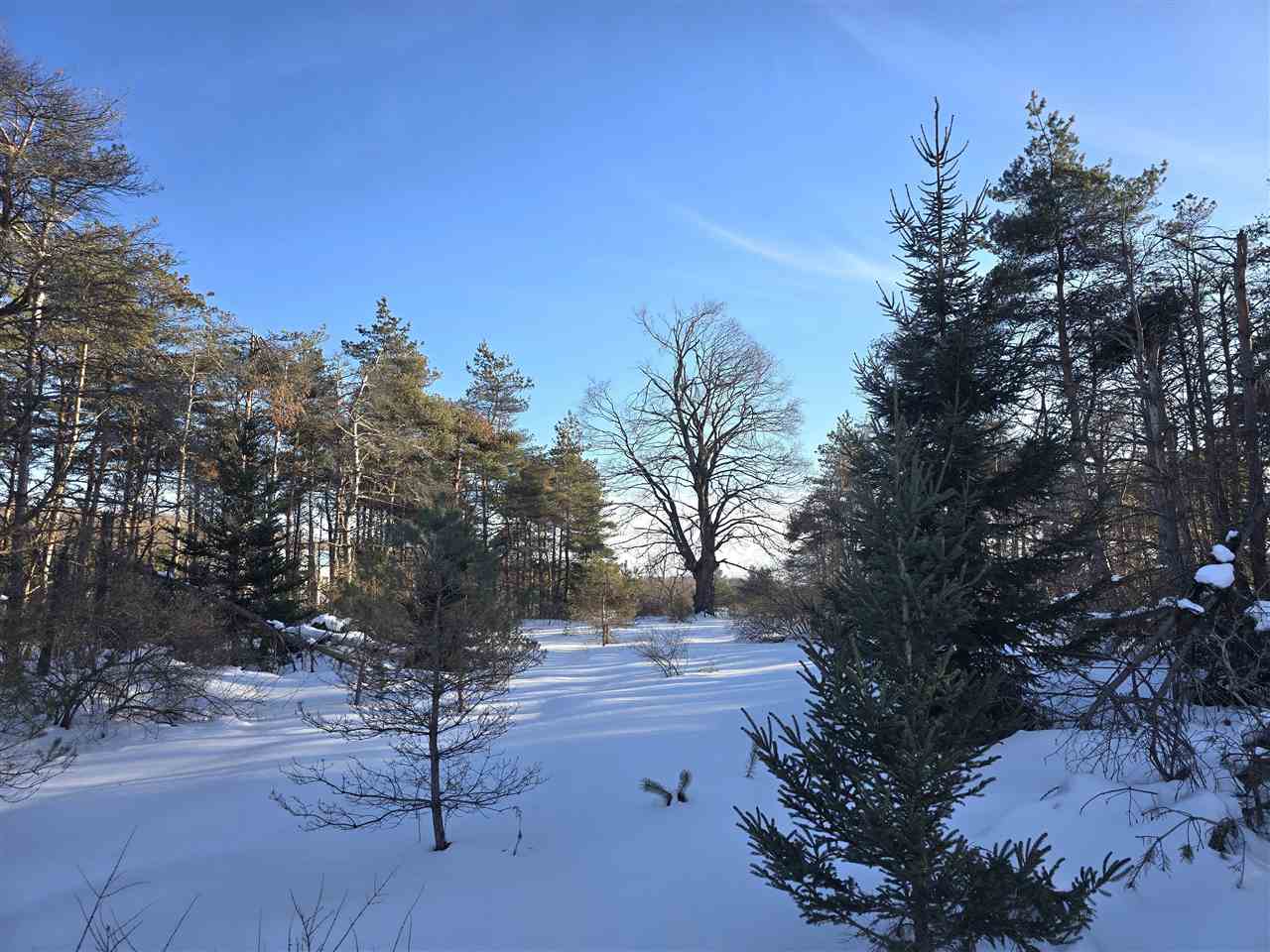 Tbd Needles Drive Harbor Springs MI 49740