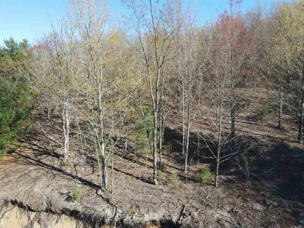Tbd Cosier Road East Jordan MI 49727