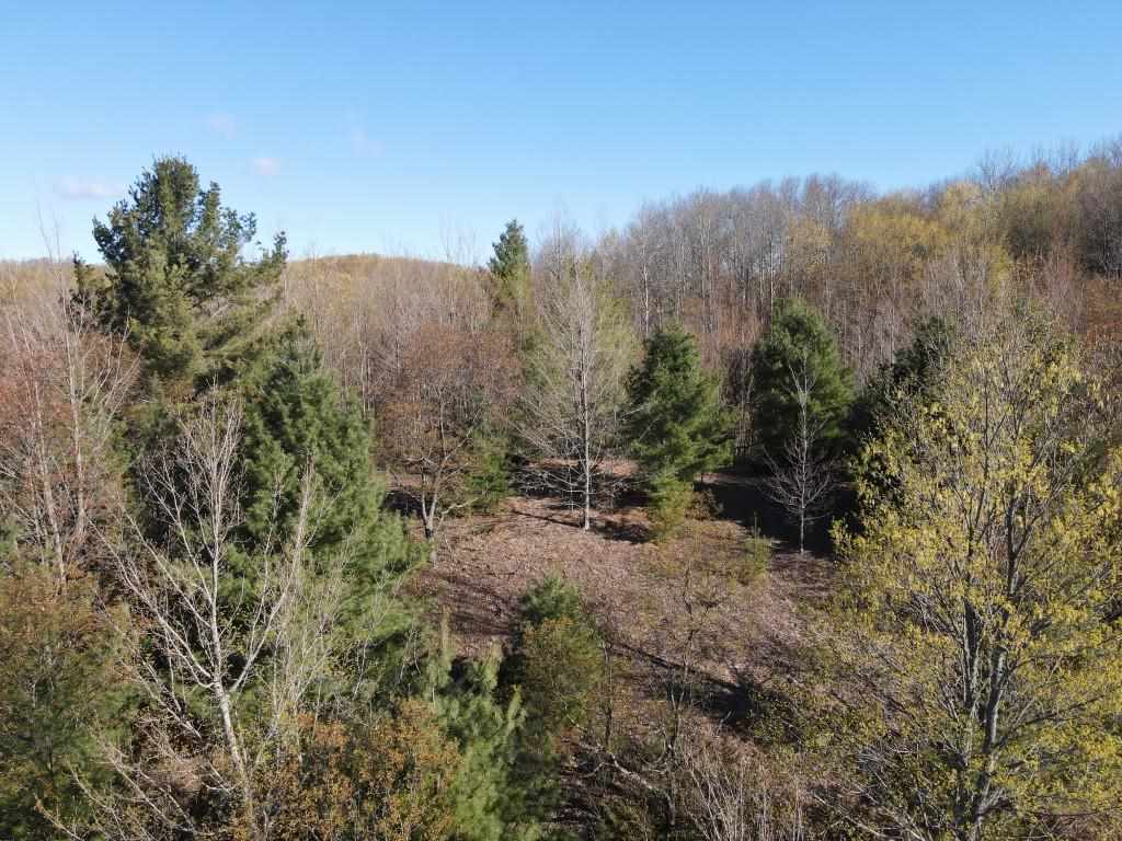 Tbd Cosier Road East Jordan MI 49727
