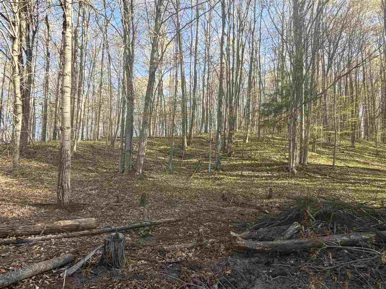 Tbd Cosier Road East Jordan MI 49727