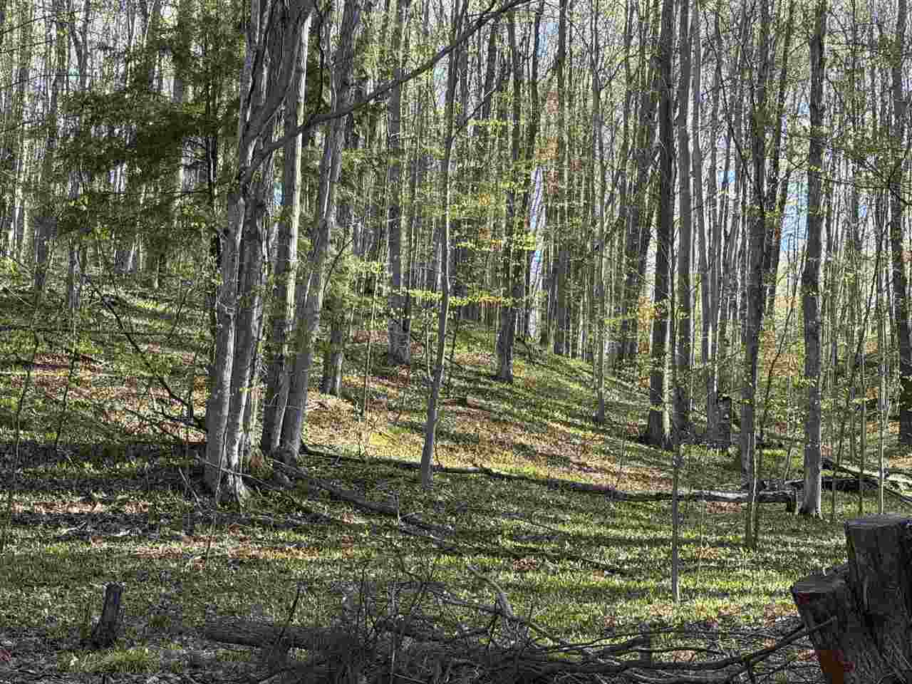 Tbd Cosier Road East Jordan MI 49727