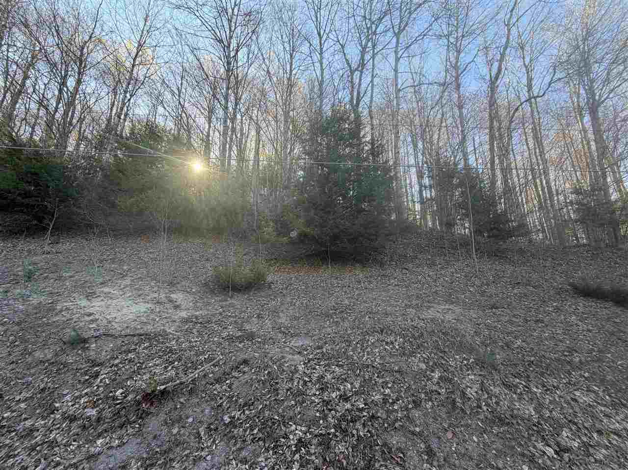 Tbd Cosier Road East Jordan MI 49727