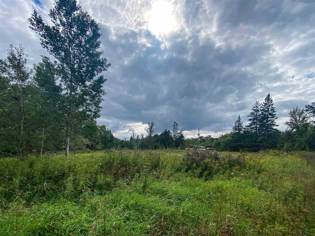 8425 S Us 31 Highway Alanson MI 49706