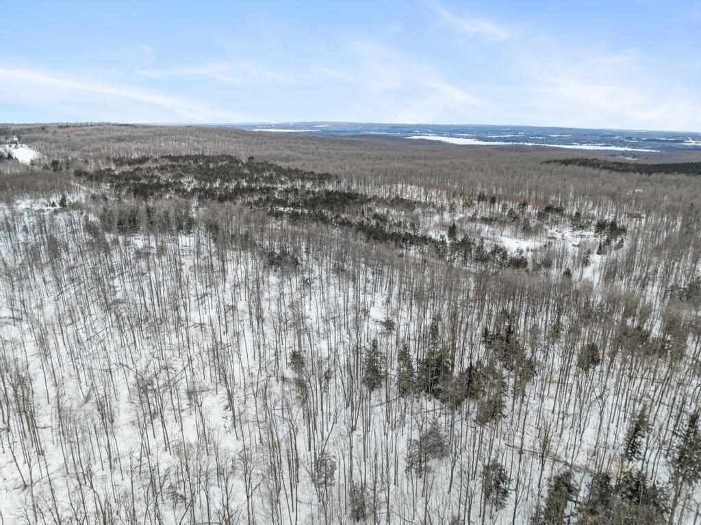 Wildwood Road Petoskey MI 49770